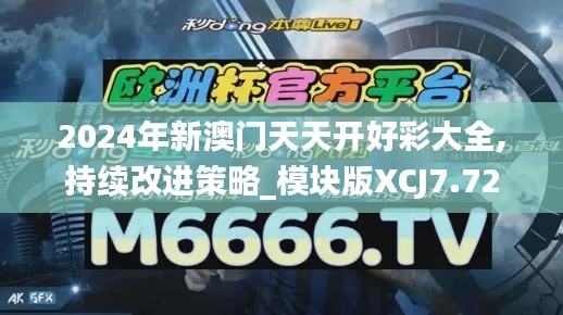 2024年新澳门天天开好彩大全,持续改进策略_模块版XCJ7.72
