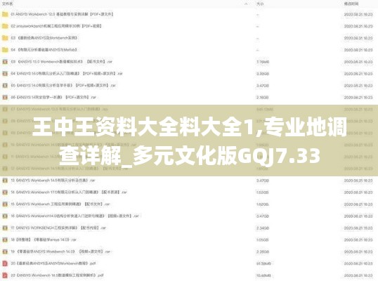 王中王资料大全料大全1,专业地调查详解_多元文化版GQJ7.33