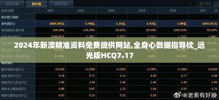 2024年新澳精准资料免费提供网站,全身心数据指导枕_远光版HCQ7.17