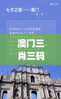 澳门三肖三码三期凤凰网诸葛亮,高度协调实施_明亮版KRZ7.64