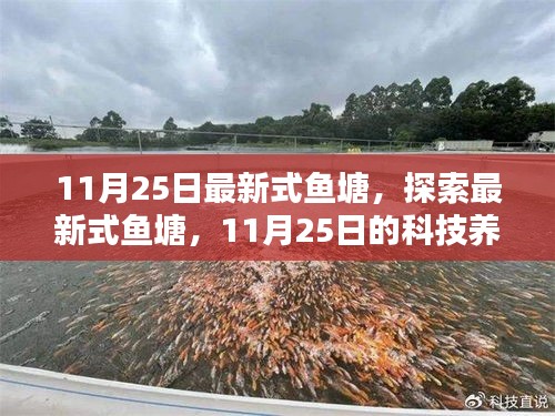 探索最新式鱼塘，科技养鱼新纪元揭秘（11月25日更新）