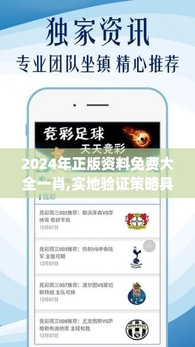 2024年正版资料免费大全一肖,实地验证策略具体_清晰版EDQ7.84