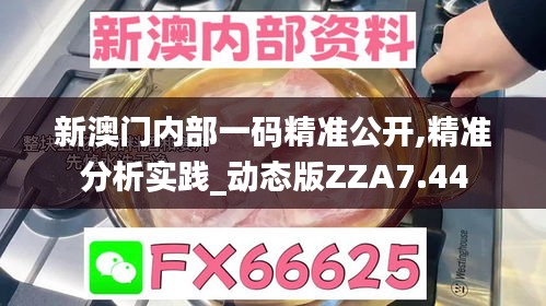 新澳门内部一码精准公开,精准分析实践_动态版ZZA7.44