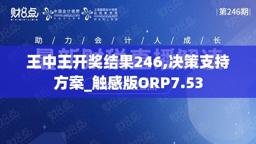 王中王开奖结果246,决策支持方案_触感版ORP7.53