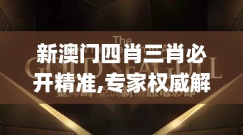 新澳门四肖三肖必开精准,专家权威解答_电影版RGM7.86