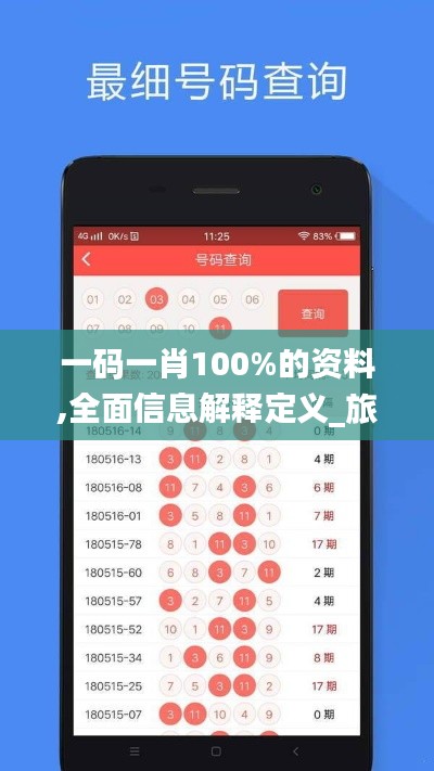 一码一肖100%的资料,全面信息解释定义_旅行版KUX7.45
