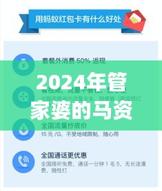 2024年管家婆的马资料,精细化实施分析_电信版LLP7.86