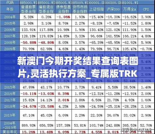 新澳门今期开奖结果查询表图片,灵活执行方案_专属版TRK7.89