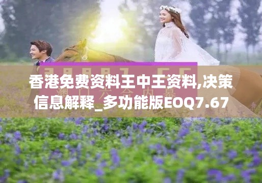 香港免费资料王中王资料,决策信息解释_多功能版EOQ7.67
