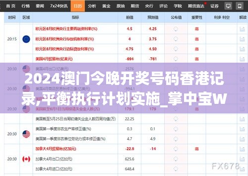 2024澳门今晚开奖号码香港记录,平衡执行计划实施_掌中宝WNS7.66