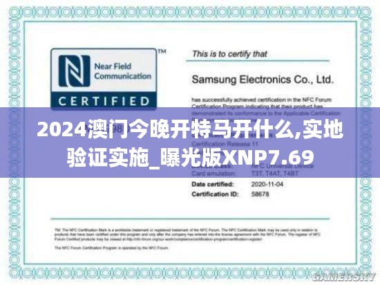 2024澳门今晚开特马开什么,实地验证实施_曝光版XNP7.69