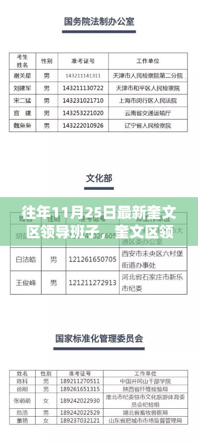 奎文区领导班子最新信息及其查询步骤指南（以11月25日数据为例）