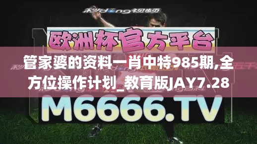 管家婆的资料一肖中特985期,全方位操作计划_教育版JAY7.28