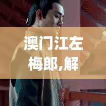 澳门江左梅郎,解答配置方案_云端共享版KZS7.66