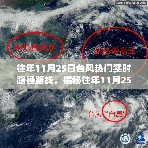 飞箭如蝗 第6页