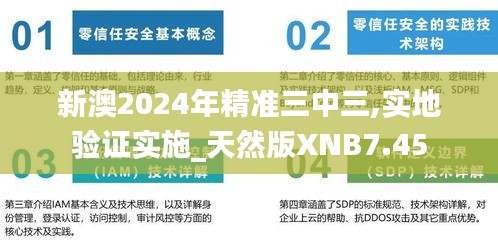 新澳2024年精准三中三,实地验证实施_天然版XNB7.45