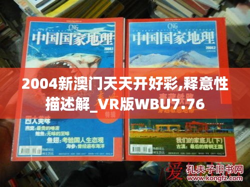 2004新澳门天天开好彩,释意性描述解_VR版WBU7.76