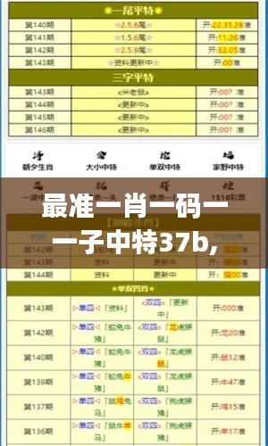最准一肖一码一一子中特37b,快速实施解答研究_随机版YMK7.76