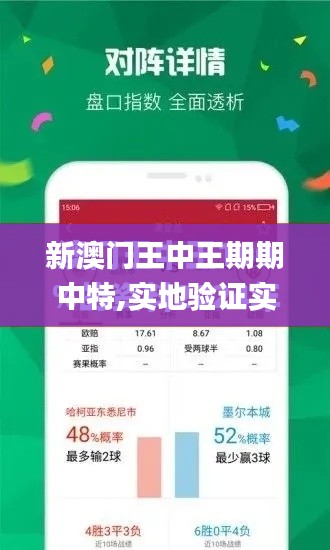 新澳门王中王期期中特,实地验证实施_清晰版ZCQ7.91