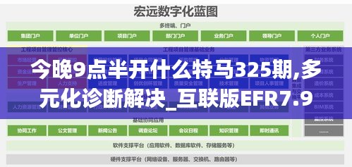 今晚9点半开什么特马325期,多元化诊断解决_互联版EFR7.97
