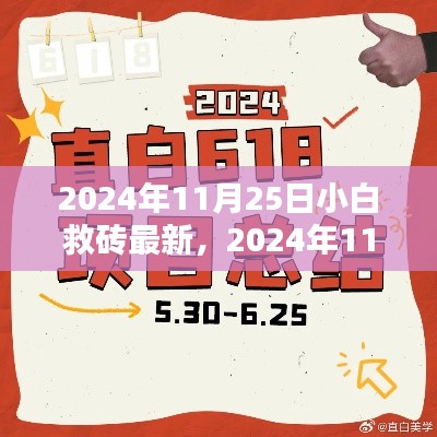 最新观点论述，小白救砖在2024年11月25日的最新进展
