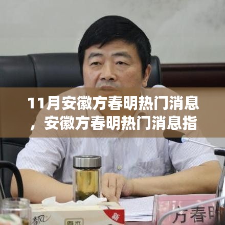安徽方春明最新热门消息与操作指南揭秘，11月任务详解