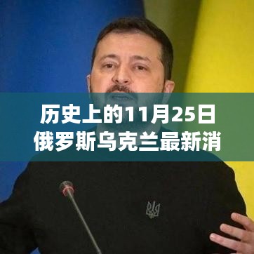 俄罗斯乌克兰局势深度解析，历史交汇与最新动态（以11月25日为观察点）