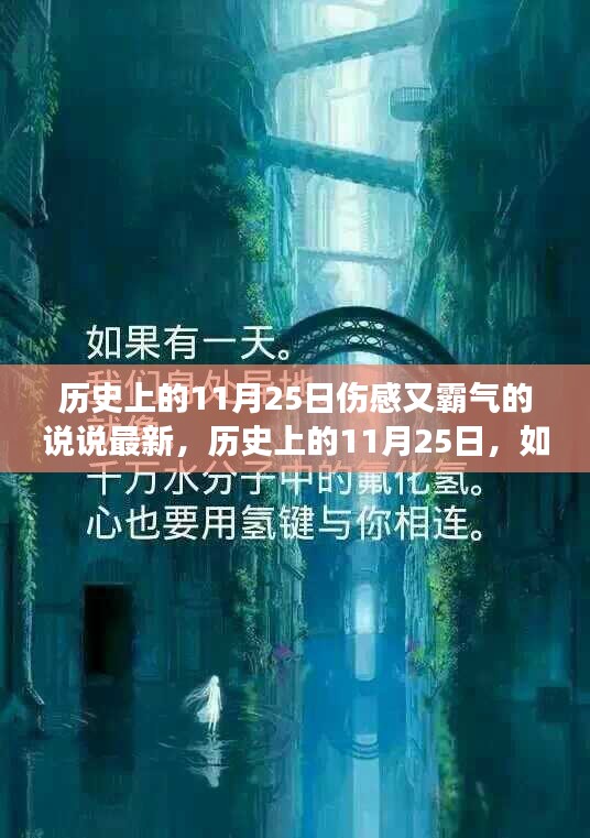 历史上的11月25日，伤感霸气的说说撰写指南