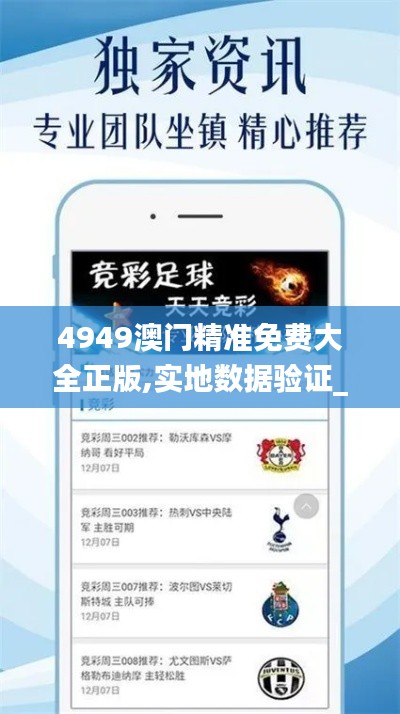 4949澳门精准免费大全正版,实地数据验证_界面版DMZ7.52
