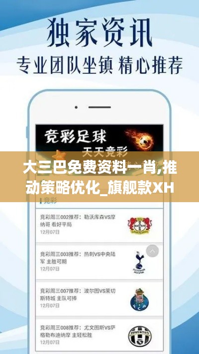 大三巴免费资料一肖,推动策略优化_旗舰款XHJ7.14