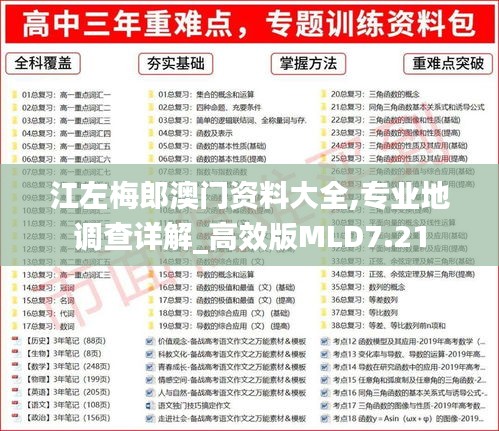 江左梅郎澳门资料大全,专业地调查详解_高效版MLD7.21