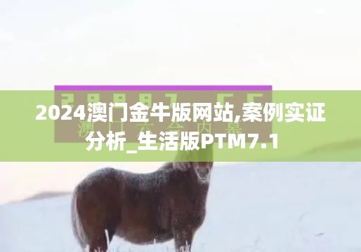 2024澳门金牛版网站,案例实证分析_生活版PTM7.1
