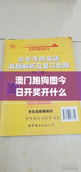 澳门跑狗图今日开奖开什么奖,实地研究解答协助_珍藏版IOR7.5