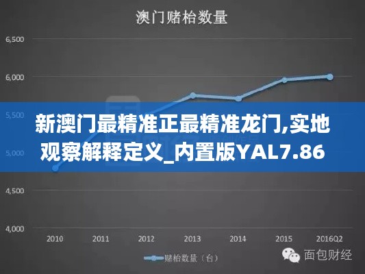 新澳门最精准正最精准龙门,实地观察解释定义_内置版YAL7.86