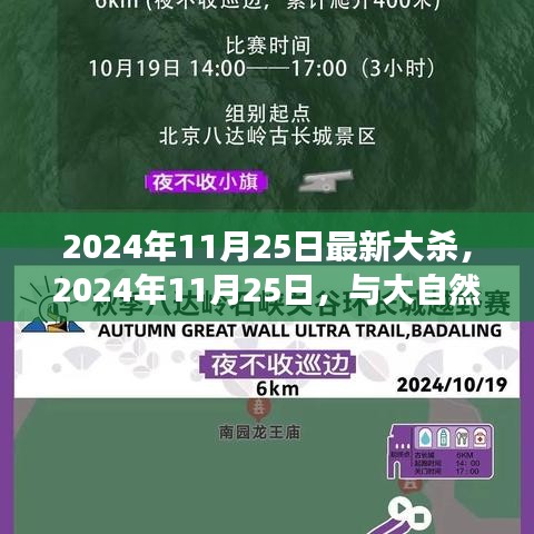 与大自然共舞的日子，寻找内心平静的奇妙旅行（2024年11月25日最新体验）
