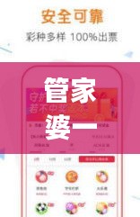 管家婆一票一码资料,现代化解析定义_寻找版DGJ7.38