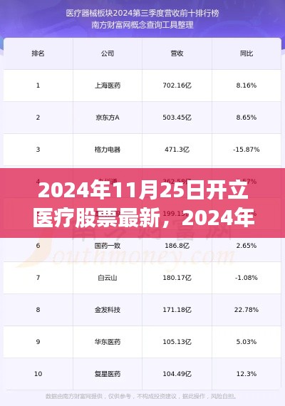 最新动态分析，从某某观点看医疗股票在2024年11月25日的走势