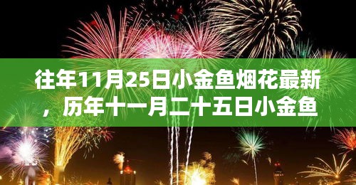 历年11月25日小金鱼烟花的璀璨瞬间与深远影响回顾