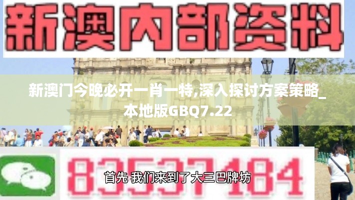 新澳门今晚必开一肖一特,深入探讨方案策略_本地版GBQ7.22