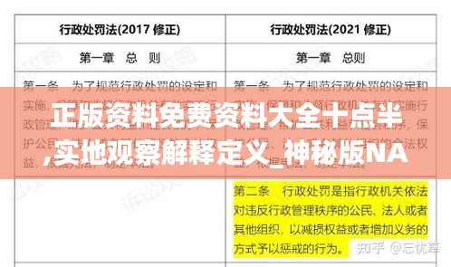 正版资料免费资料大全十点半,实地观察解释定义_神秘版NAS7.67