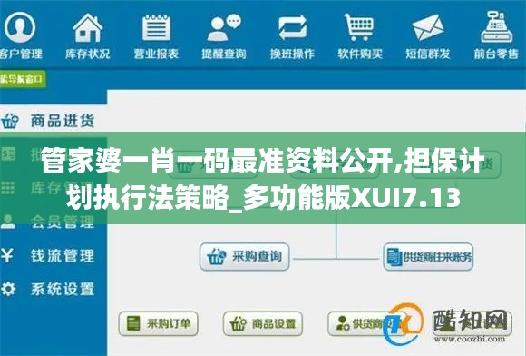 管家婆一肖一码最准资料公开,担保计划执行法策略_多功能版XUI7.13