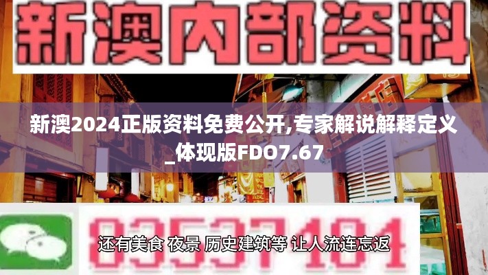 新澳2024正版资料免费公开,专家解说解释定义_体现版FDO7.67