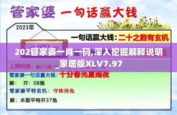202管家婆一肖一码,深入挖掘解释说明_家居版XLV7.97