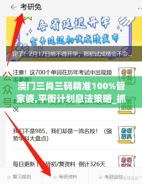 澳门三肖三码精准100%管家婆,平衡计划息法策略_抓拍版TGV7.75