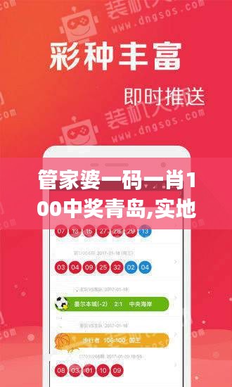 管家婆一码一肖100中奖青岛,实地数据验证_nShopRFB7.33