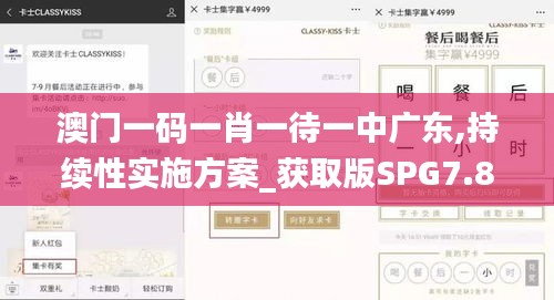 澳门一码一肖一待一中广东,持续性实施方案_获取版SPG7.86