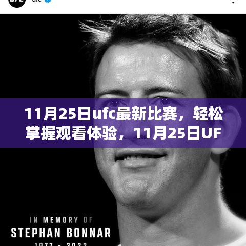 11月25日ufc最新比赛，轻松掌握观看体验，11月25日UFC最新比赛步骤指南