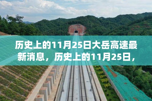 揭秘大岳高速建设进展，历史上的11月25日最新消息一探究竟