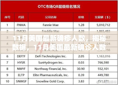 揭秘与分析，11月美国最新确诊人数及其影响全解析