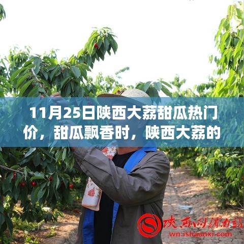陕西大荔甜瓜飘香季，探寻心灵静谧港湾的自然之旅
